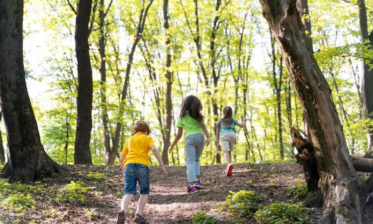 Aventuras al aire libre, ideales para el desarrollo infantil