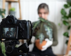 Cómo funciona una productora audiovisual Fases, procesos y equipos