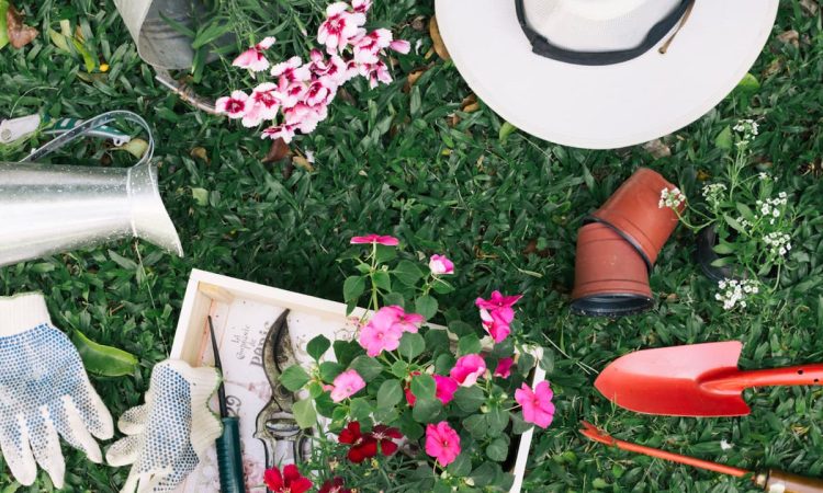 Claves esenciales para proyectar la autenticidad y el equilibrio en un jardín mediterráneo