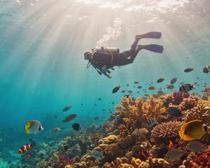 El auge del turismo subacuático y la transformación de la formación marina en España